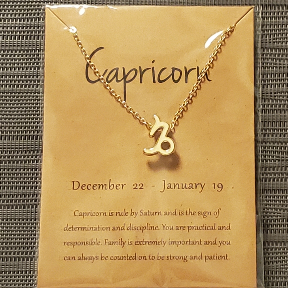 ♑CAPRICORN Zodiac Sign Pendant Necklace